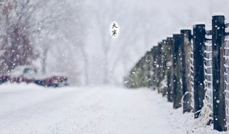 大雪时节，探索致富新路径