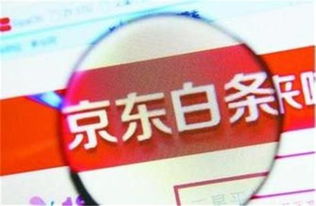 风控白条套出来攻略指南