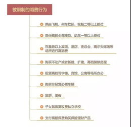 风控白条套出来攻略指南