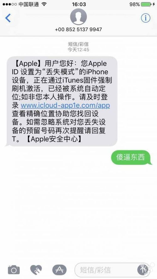 羊小咩便荔卡套出来秒到攻略，轻松解锁快速到账技巧！