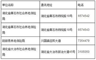 拉萨医保取现到账时间解析，了解流程，轻松掌握到账时刻