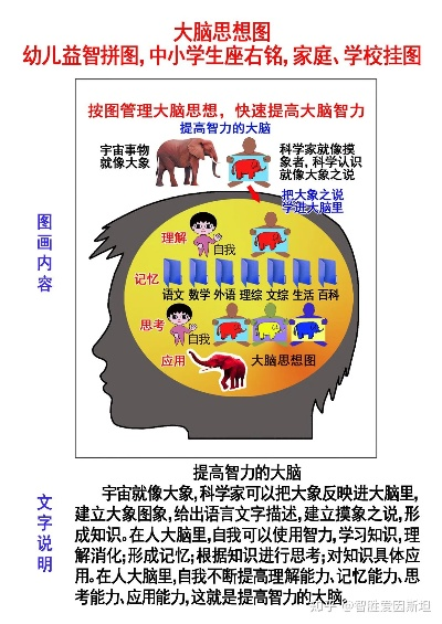 大脑地图加盟怎么样？全方位解读加盟大脑地图的利与弊