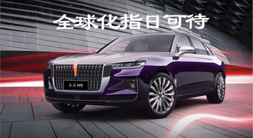国产汽车品牌穿搭指南，时尚与实用的完美结合