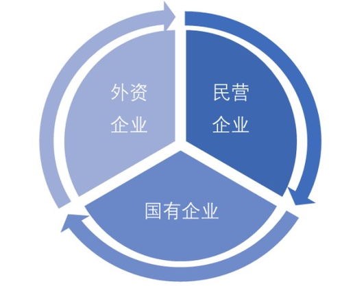 负债做什么行业好赚钱多—深度解析与案例分享