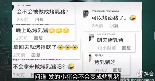 羊小咩便荔卡套出来卖家，揭秘那些神秘卖家背后的故事