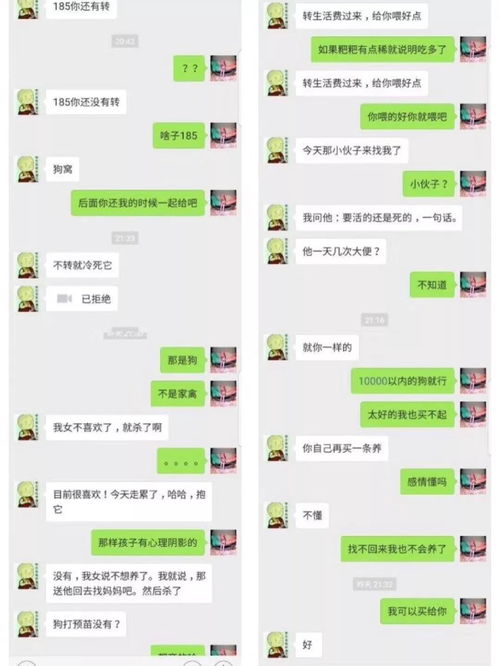 揭秘！如何查看老公手机微信聊天记录，安全又有效的方法大公开！