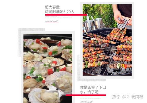 烧烤架品牌选择指南