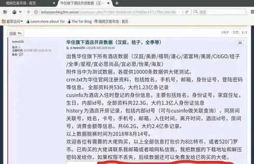 免费查酒店入住记录查询，真相、方法和注意事项