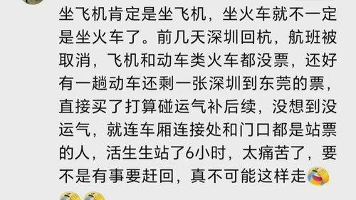 来到深山里，这些生意机会你绝对不能错过！