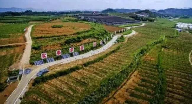 山村发展致富的新路径探索
