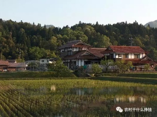 湖南乡下做什么赚钱多？深度解析与案例分享
