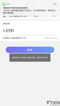 桃多多额度提现与暂停使用全解析