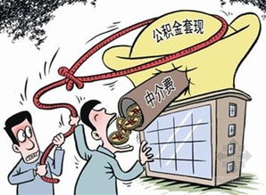羊小咩便荔卡套现，资金到账速度揭秘！