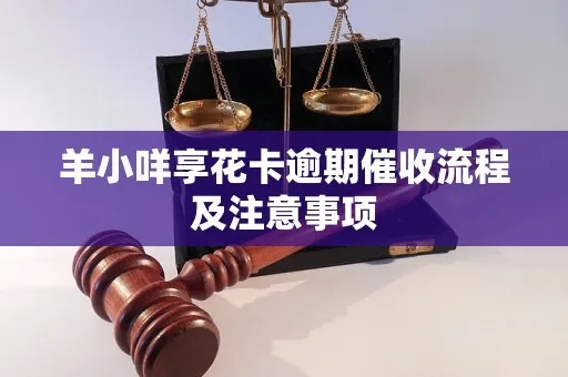 上海羊小咩享花卡提现上门服务指南