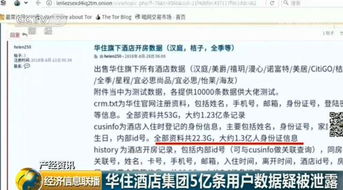 查身份证入住酒店记录，流程、注意事项与案例分析