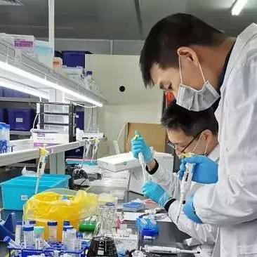 生物医药品牌故事—从实验室到市场的创新之旅