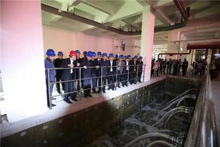 城口智慧管廊服务生产公司，引领智能化基础设施建设新潮流