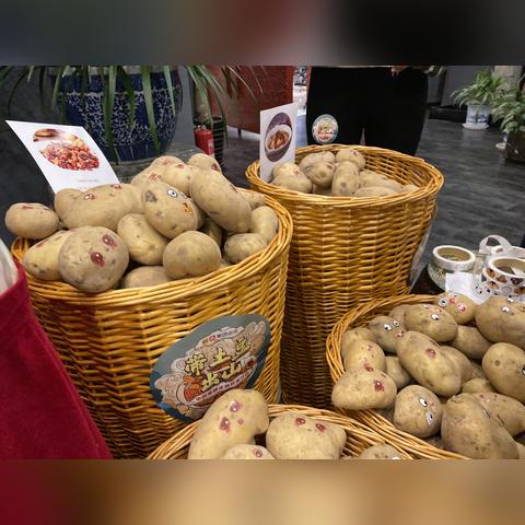 我国本土餐饮品牌发展概况