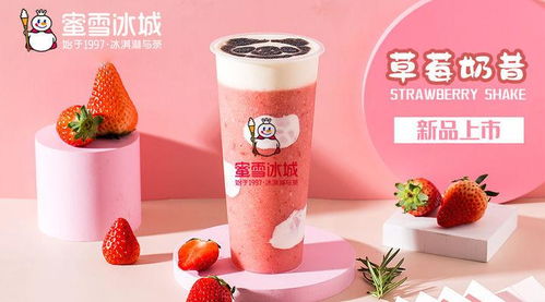 开鑫豆乳加盟代理全攻略