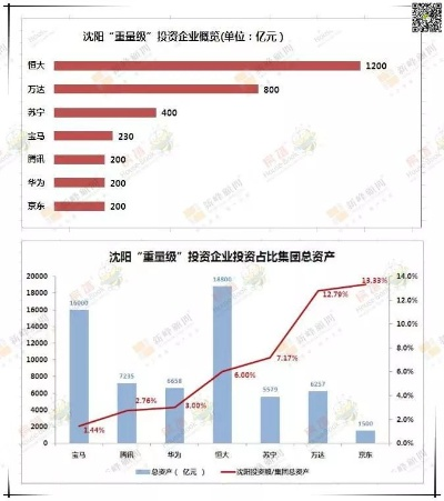 沈阳赚钱项目大解析，探寻商机与成功案例