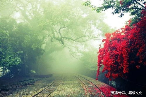 创业的古文句子与成语，智慧之光的汇聚