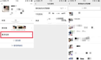 不小心删除陌陌聊天记录？别慌！教你几招找回方法