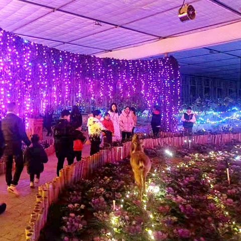 益阳手工活赚钱多，热门手工项目深度解析