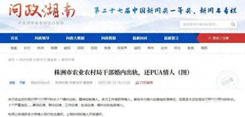 公安网怎么查开房记录，深入了解流程与注意事项