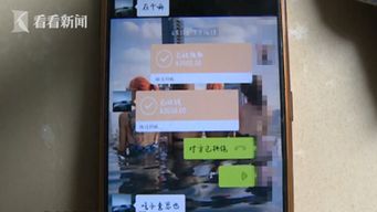 在线查酒店开房记录全解析，便捷查询的背后，你需要知道的事