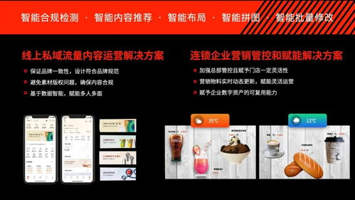 汽车品牌管理办法概述