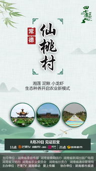 最新致富方式全解析，探索新时代的财富之路
