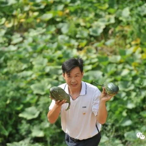 未来加工什么致富最快？看这篇分析你就懂了