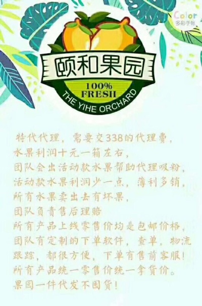 阿豪水果加盟代理之路详解