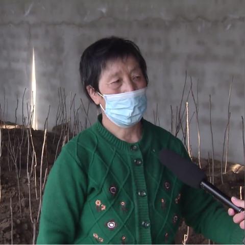 张北农村赚钱好项目大解析