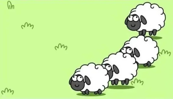 揭秘羊小咩便荔卡套出来的可信度，案例分析及表格解读