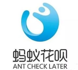 揭秘宝花呗提现二维码，轻松操作，安全便捷！
