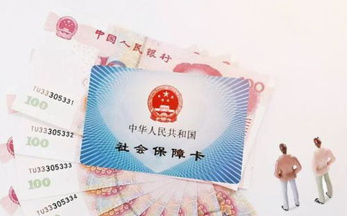 羊小咩便荔卡套出来可靠吗？揭秘羊小咩便荔卡的真相！