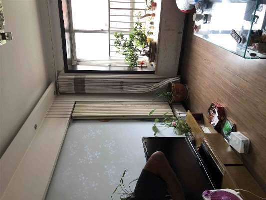 郑州金水品牌旧房装修升级指南
