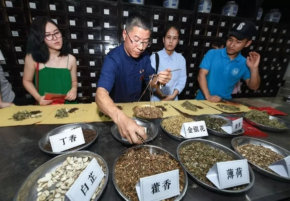 国货中医药品牌崛起之路—从传统到现代的蜕变之旅
