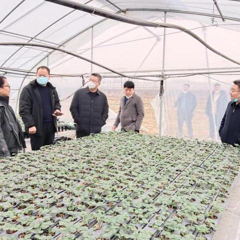 做什么生意能稳定致富？从行业趋势与实战经验看商机