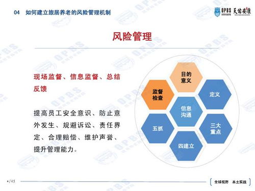 2019年白条提现全解析，规则、风险与应对策略