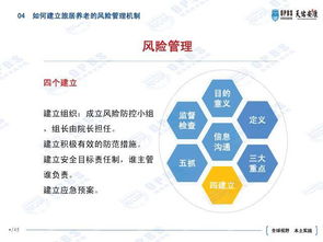2019年白条提现全解析，规则、风险与应对策略