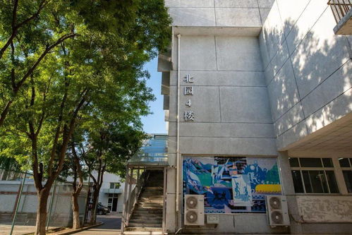 广岛大学附近餐饮品牌大比拼