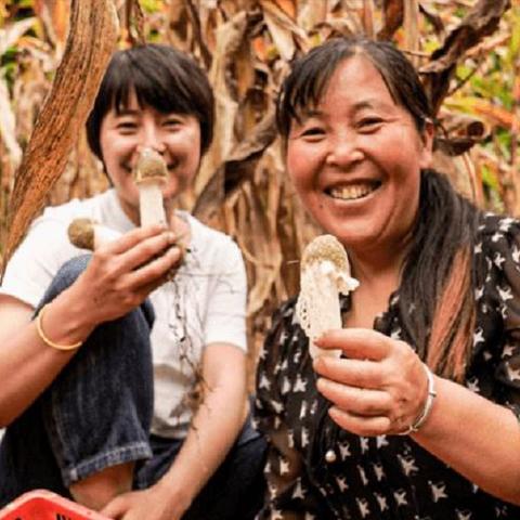 四川好致富，探寻商机与成功案例