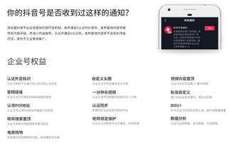 揭秘抖音月付提现那些事儿，费率一览及案例分析