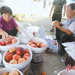线上接单创业项目大盘点，从理论到实践的全方位解析
