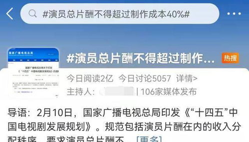 明星在家做什么赚钱快速，多元化收入策略与成功案例剖析
