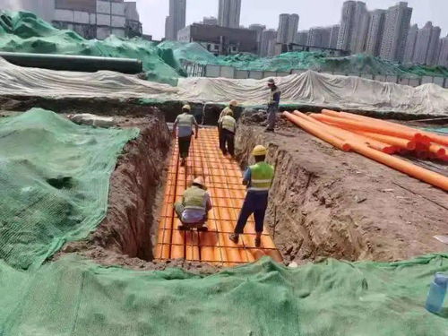 加盟瓜子怎么样？深度解析给你听
