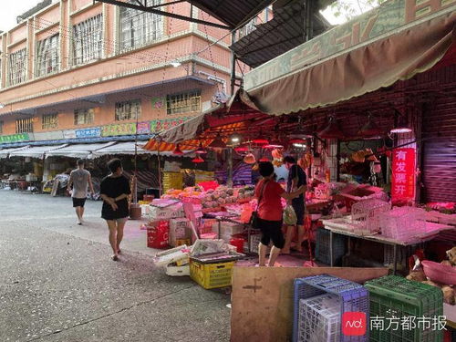 打造衢江区家居品牌推广新策略
