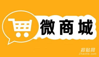 郑州微店放心花套，便捷购物的新选择